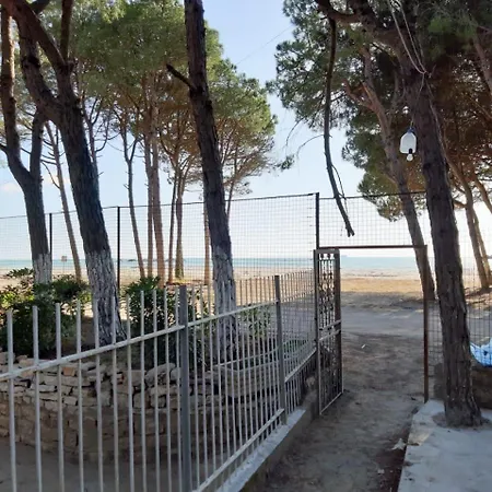 Seafront With A Cozy Garden Golem غوليم